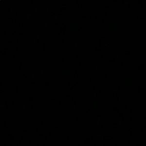 Meet your Posher, Peter